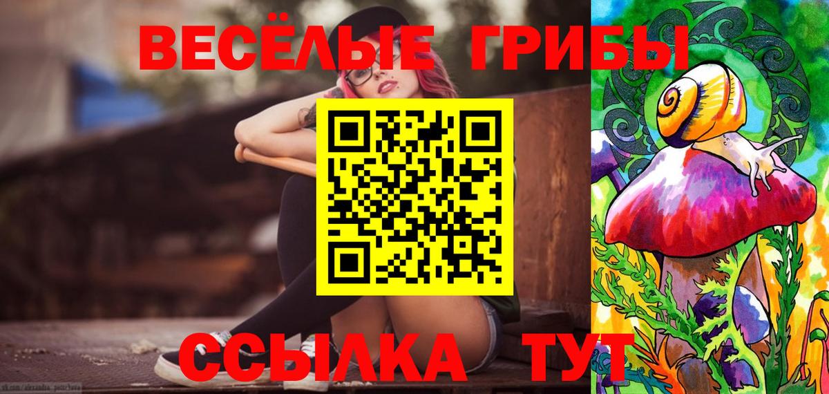 Галлюциногенные грибы Psilocybine cubensis Керчь
