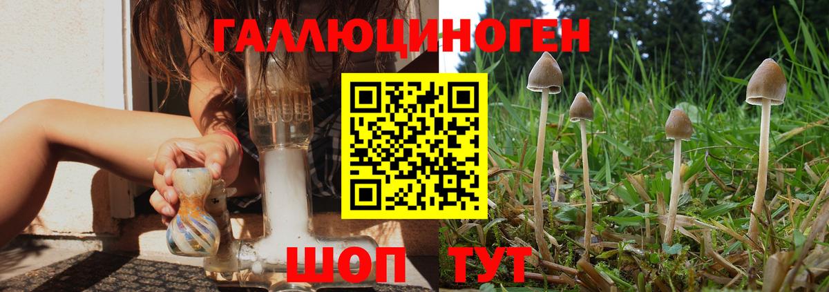 Керчь  Псилоцибиновые грибы Magic Shrooms  Галлюциногенные грибы Cubensis  Вход с VPN 